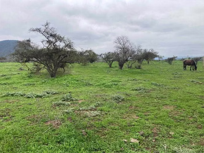 Tranquilidad y Naturaleza en Tu Refugio (151414)
