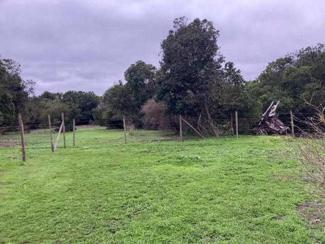 Tranquilidad y Naturaleza en Tu Refugio (151414)
