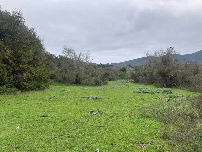 Tranquilidad y Naturaleza en Tu Refugio (151414)