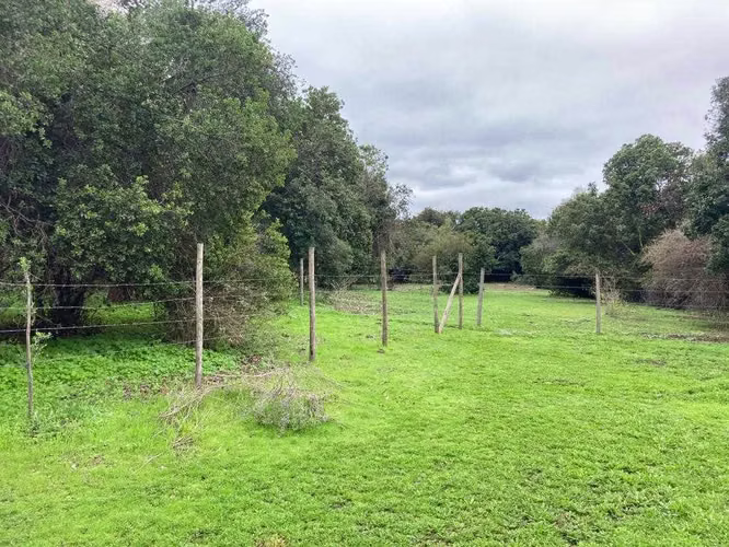 Tranquilidad y Naturaleza en Tu Refugio (151414)