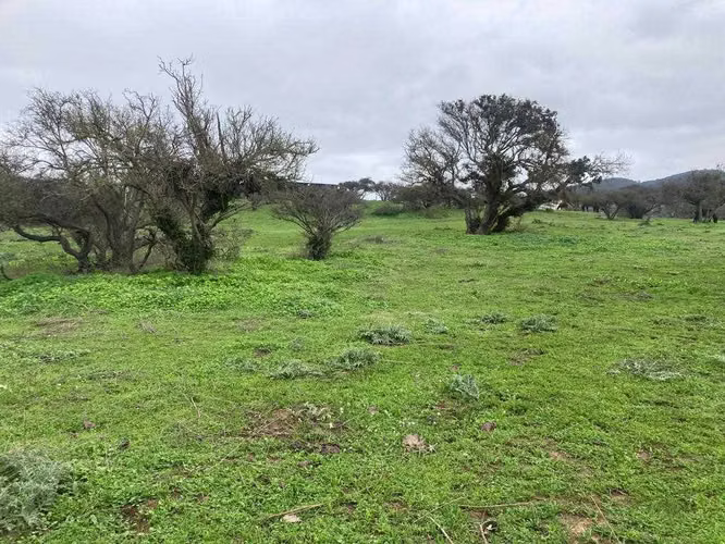 Tranquilidad y Naturaleza en Tu Refugio (151414)