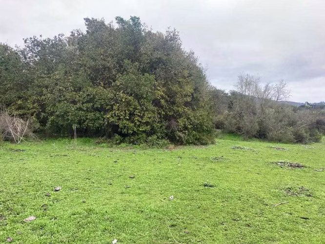 Tranquilidad y Naturaleza en Tu Refugio (151414)