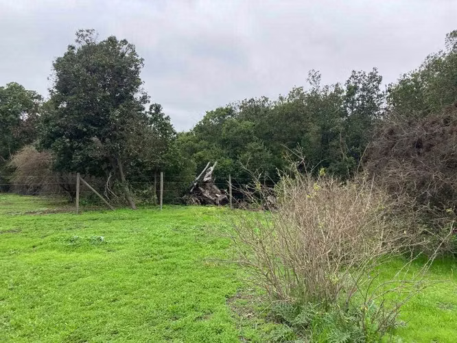 Tranquilidad y Naturaleza en Tu Refugio (151414)