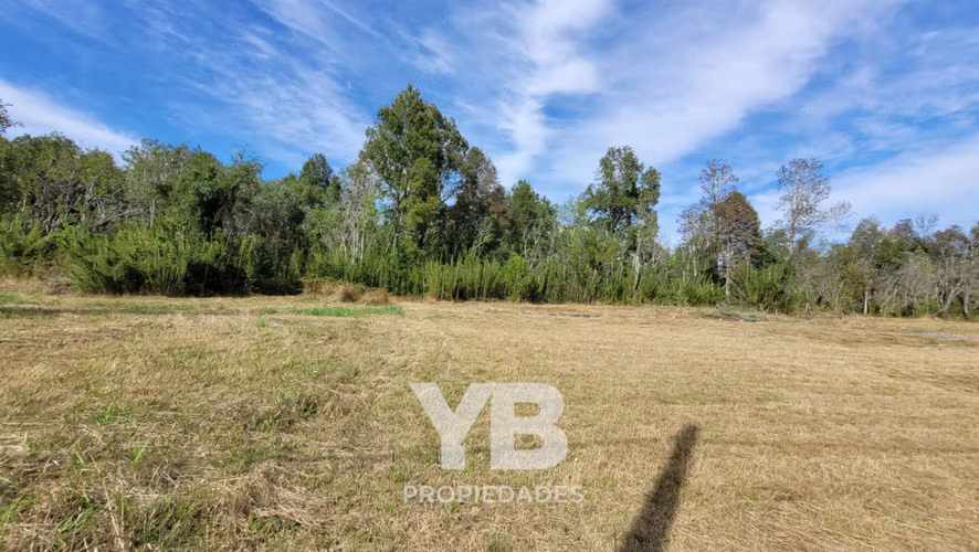 Venta Parcela Villarrica Condominio Chucauco