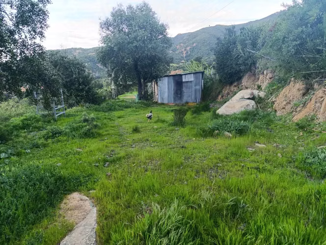 Amplio Terreno en Santa Cruz (151548)