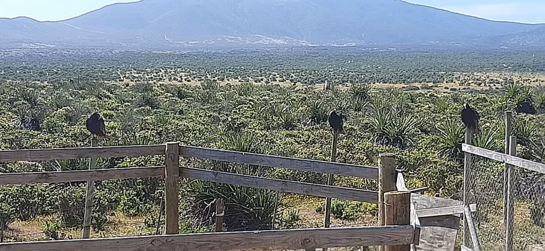 VENTA TERRENO - SITIO 500MTS La Ligua