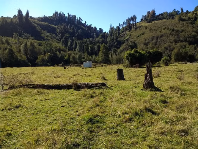Agrícola en venta en Lago Ranco