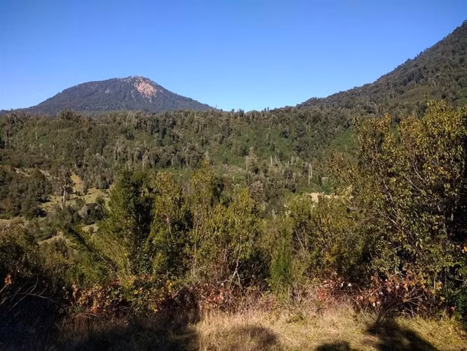 Agrícola en venta en Lago Ranco