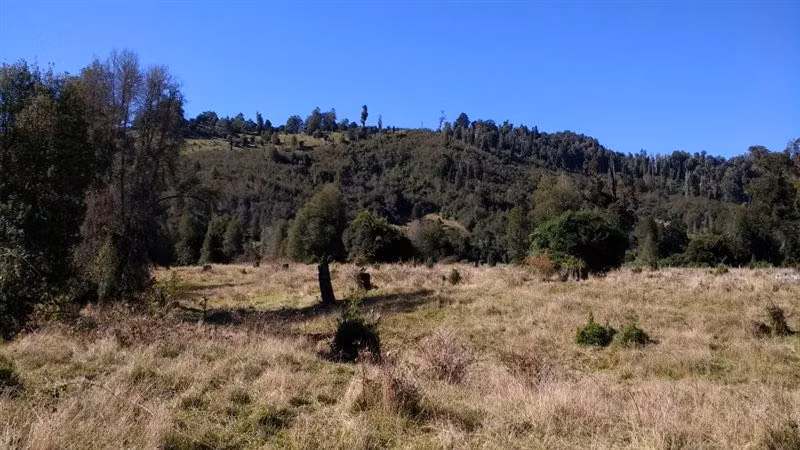 Agrícola en venta en Lago Ranco