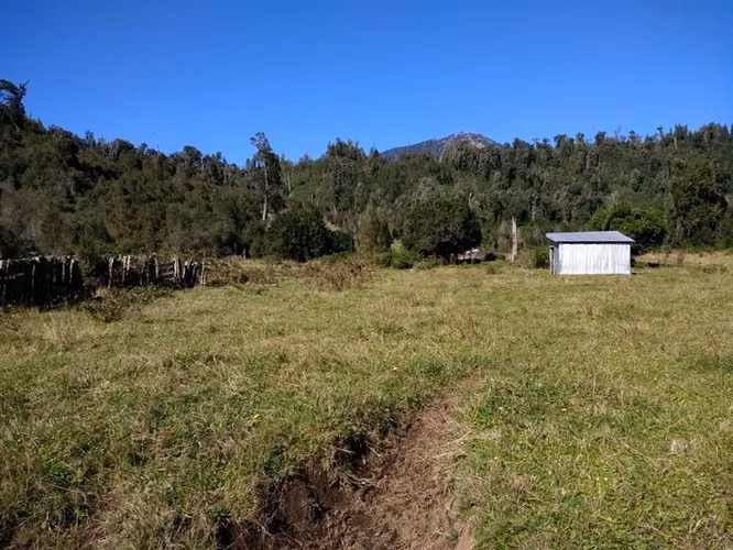 Agrícola en venta en Lago Ranco