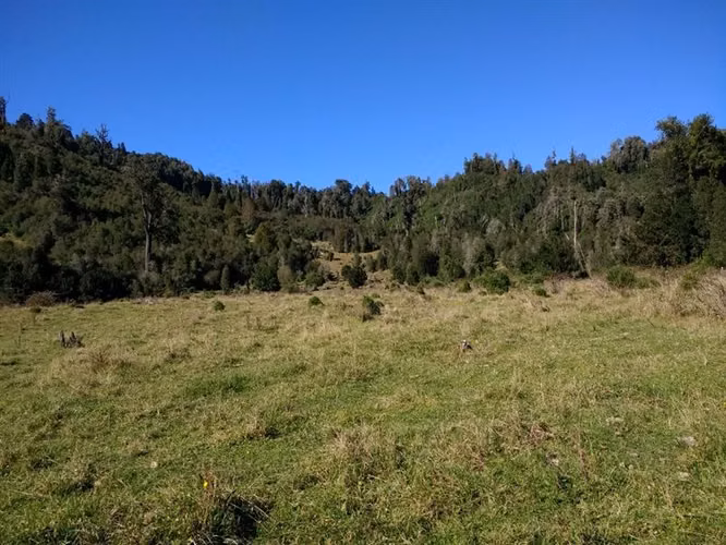 Agrícola en venta en Lago Ranco