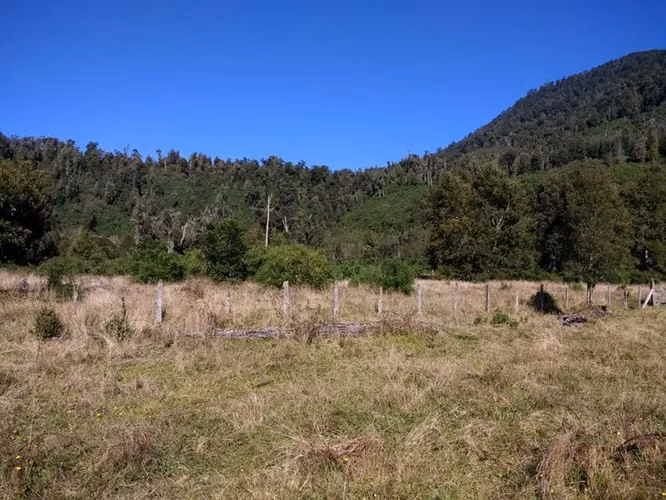 Agrícola en venta en Lago Ranco