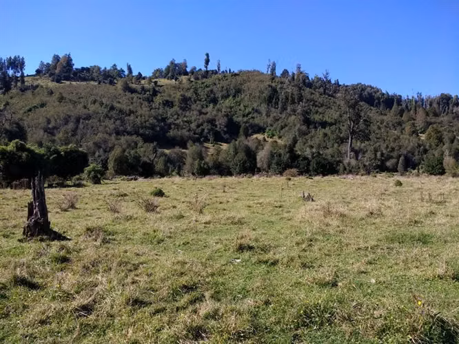 Agrícola en venta en Lago Ranco