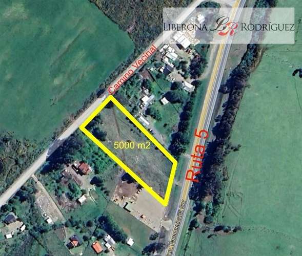 Parcela en arriendo en Castro