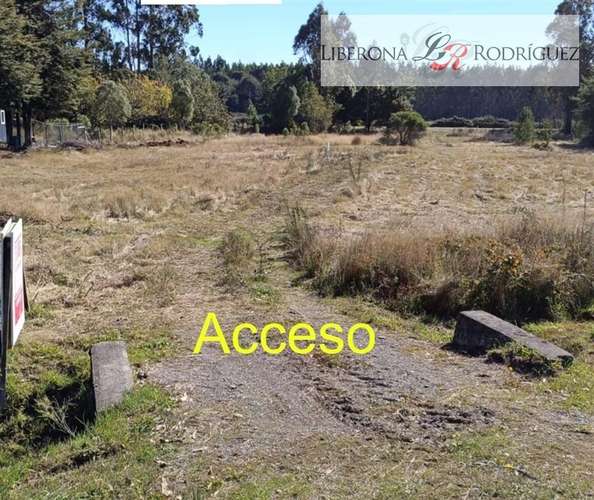 Parcela en arriendo en Castro