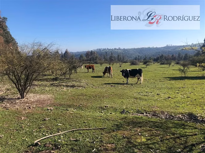 Parcela en venta en Quintero