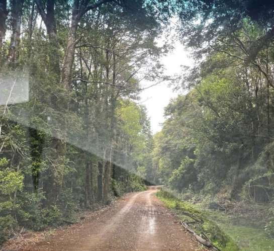 Parcela en venta Parque Tepuhueico en Chonchi