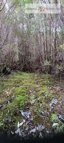 Parcela en venta Parque Tepuhueico en Chonchi
