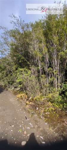 Parcela en venta Parque Tepuhueico en Chonchi