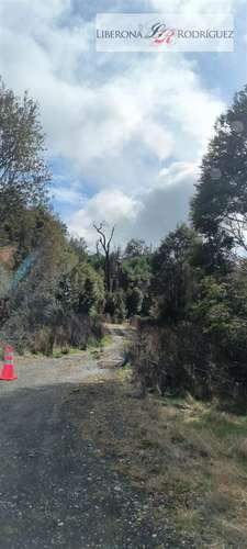 Parcela en venta Parque Tepuhueico en Chonchi