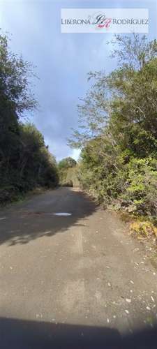 Parcela en venta Parque Tepuhueico en Chonchi