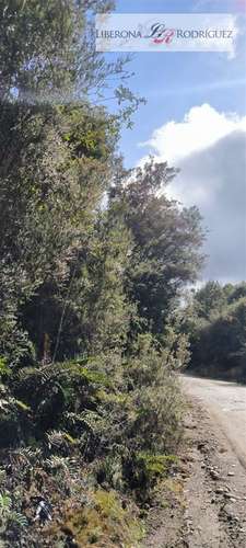 Parcela en venta Parque Tepuhueico en Chonchi