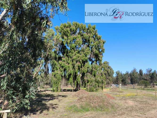 Parcela en venta en Quintero - Imagen 8
