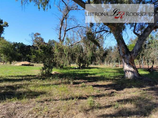 Parcela en venta en Quintero - Imagen 3