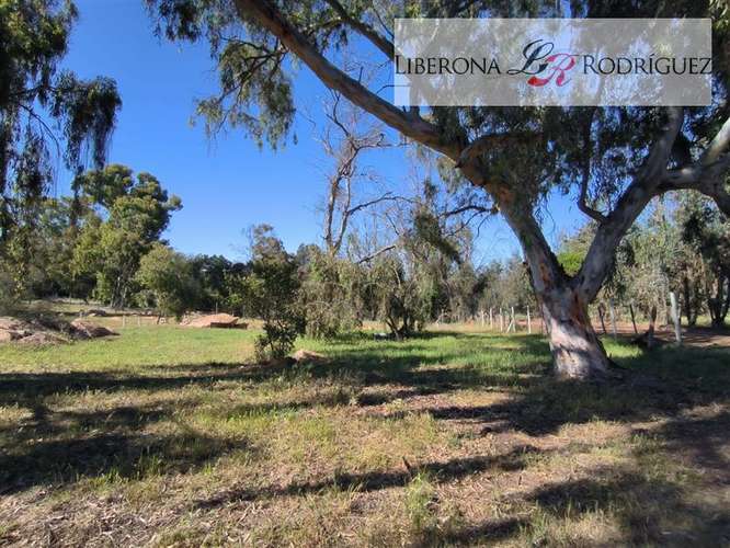 Parcela en venta en Quintero - Imagen 4