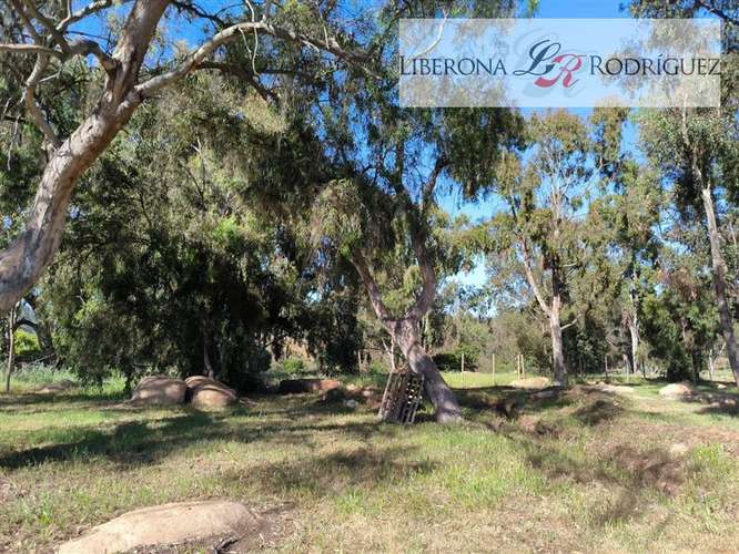 Parcela en venta en Quintero - Imagen 7