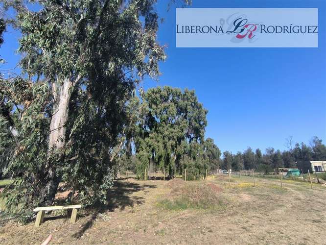 Parcela en venta en Quintero - Imagen 10