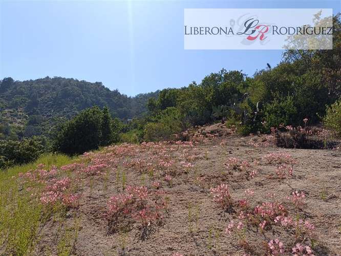 Parcela en venta en Olmué