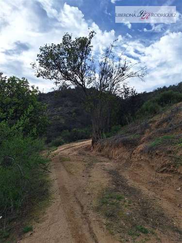 Parcela en venta en Olmué