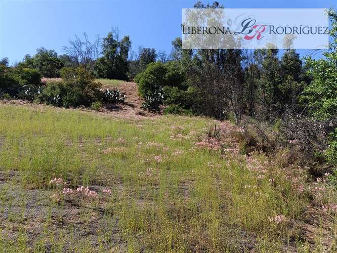 Parcela en venta en Olmué