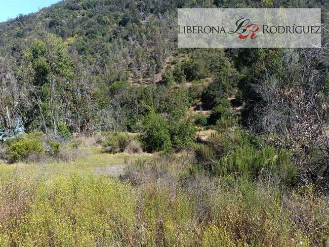 Parcela en venta en Olmué