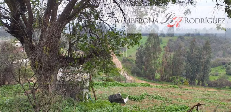 Parcela en venta en Quillota