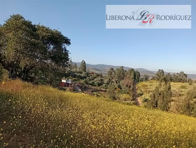 Parcela en venta en Quillota