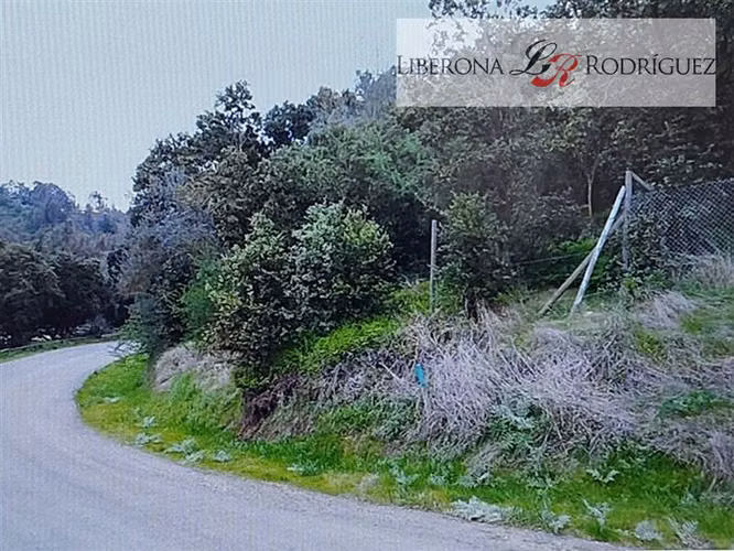 Sitio en venta en Las Gaviotas, Concón
