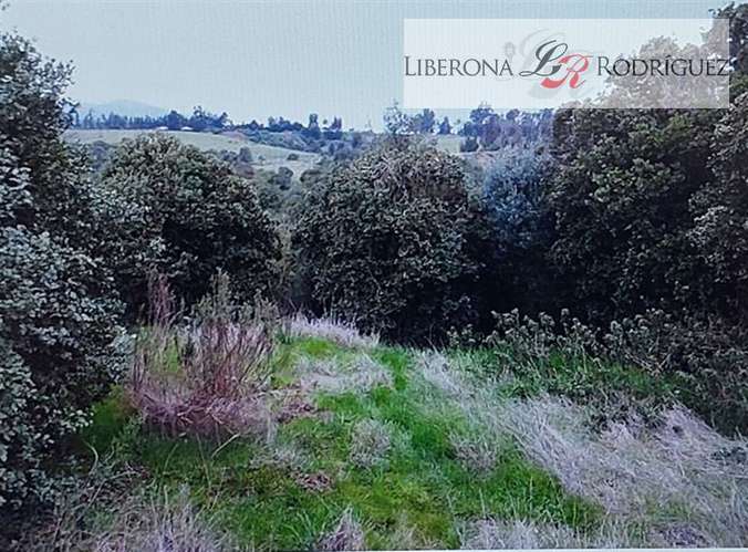 Sitio en venta en Las Gaviotas, Concón