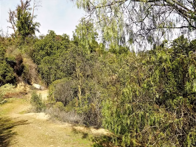Parcela 4,69 ha con casa en venta en Olmué.