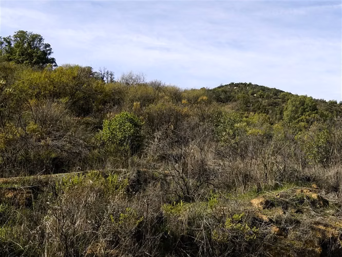 Parcela 4,69 ha con casa en venta en Olmué.