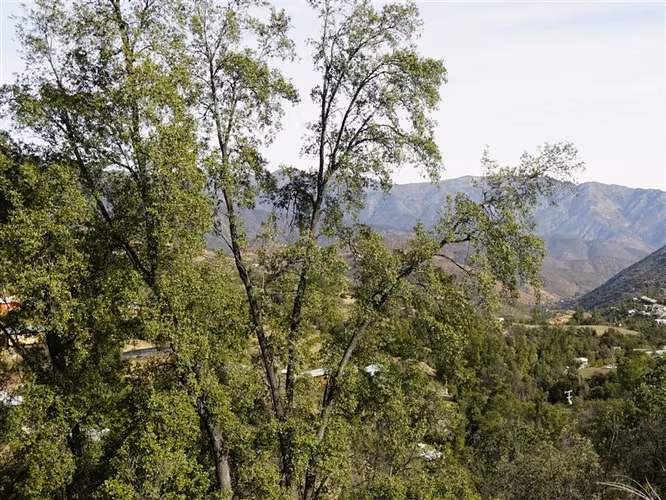 Parcela 4,69 ha con casa en venta en Olmué.