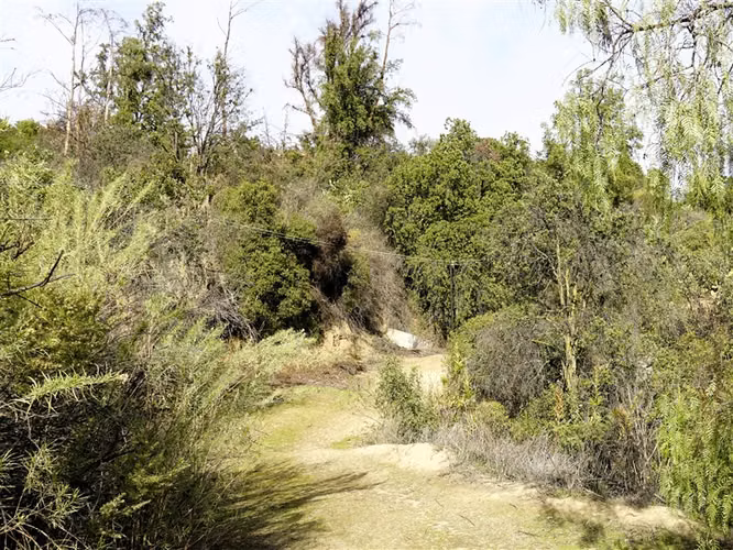 Parcela 4,69 ha con casa en venta en Olmué.
