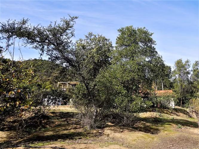 Parcela 4,69 ha con casa en venta en Olmué.