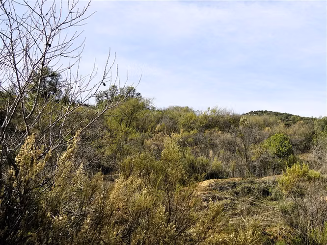 Parcela 4,69 ha con casa en venta en Olmué.