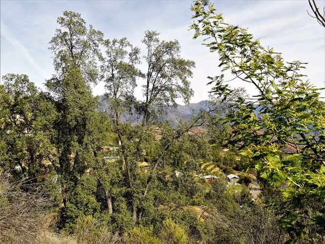 Parcela 4,69 ha con casa en venta en Olmué.