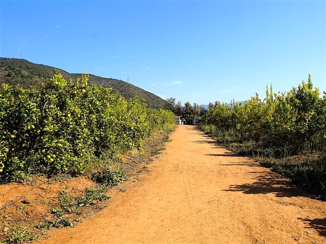 Parcela Agrícola en venta en Limache - Imagen 24