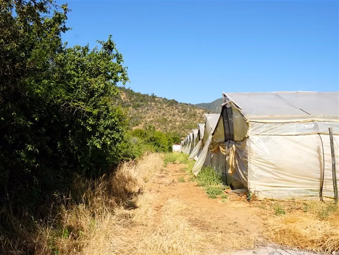 Parcela Agrícola en venta en Limache