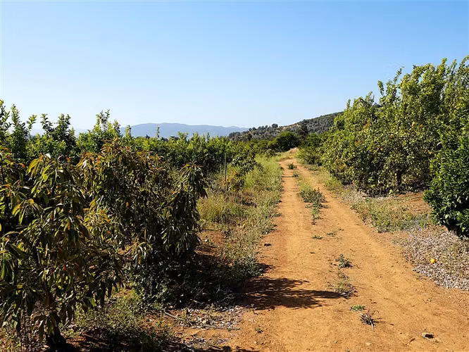 Parcela en venta en Limache - Imagen 12