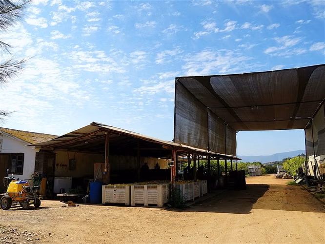 Parcela Agrícola en venta en Lliu Lliu, Limache